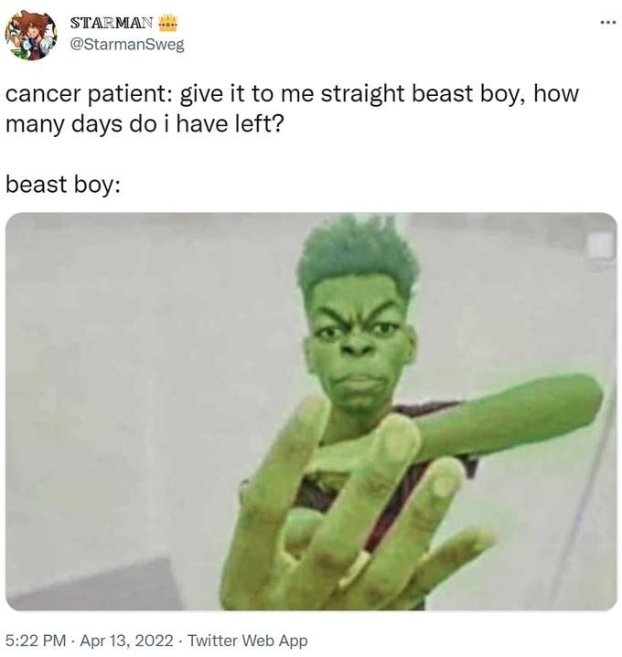 Beast Boy 4 meme
